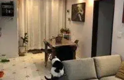 Apartamento com 2 dormitórios à venda, 70 m² por r$ 350.000,00 - vila camargo - são bernardo do campo/sp