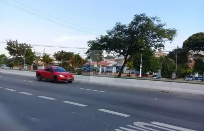 Excelente terreno plano comercial,bem localizado,frente p/avenida eliseu de almeida