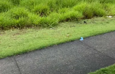 Terreno à venda no Loteamento Floresta, São José dos Campos 