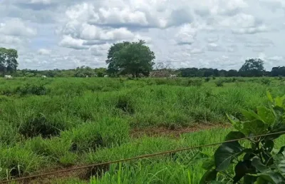 -linda fazenda com toda infraestrutura para criação gado.