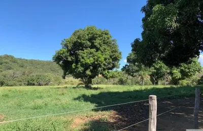 Fazenda com 3 salas à venda na Núcleo Rural Rio Preto, Planaltina, Brasília