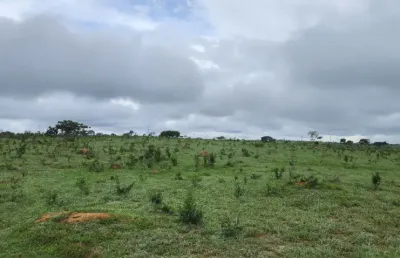 -fazenda, localização privilegiada, para gado, terra boa, rica em água, nascentes, barragens, casa sede e de apoio oportunidade de negócio