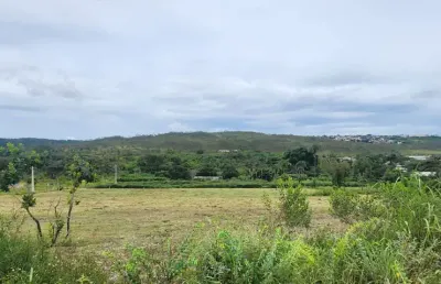 -chácara 20.000m2, ao lado do riacho fundo, ótima localização, topografia plana, rica em agua, brasília