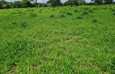 -linda fazenda arinos -mg, excelente localização estrutura par agricultura