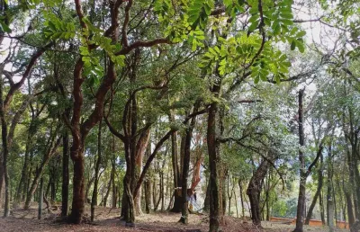 Terreno à venda no bairro são virgílio 350.000 em caxias do sul/rs