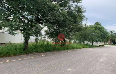 Terreno à venda, 600 m² por r$ 740.000,00 - pedra branca - palhoça/sc
