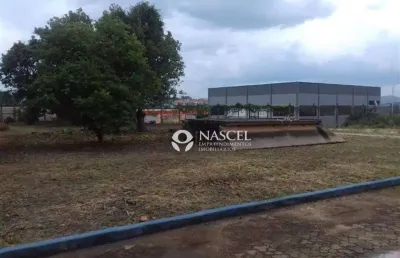 Terreno à venda no bairro do uberaba, bragança paulista , 5100 m2 por r$ 5.000.000