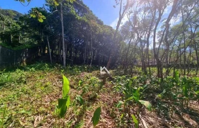Terreno à venda, 4430 m² por r$ 1.200.000,00 - carlos guinle - teresópolis/rj