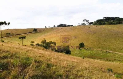 Sítio à venda, 343000 m² por r$ 1.050.000,00 - zona rural - são francisco de paula/rs