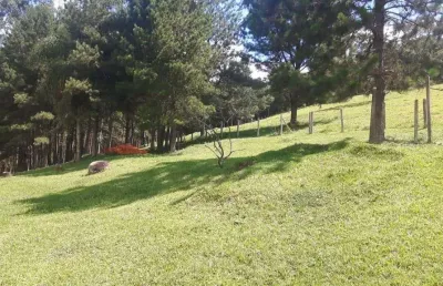 Chácara / sítio à venda na Sítio São Pedro, Carmo Messias, Ibiúna