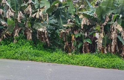 Terreno à venda no Anita Garibaldi, Joinville 
