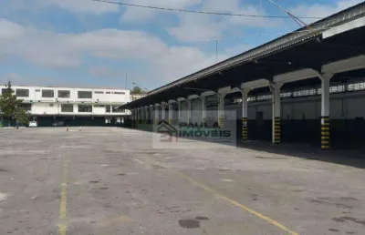Galpão, 3500 m² - venda por r$ 29.000.000,00 ou aluguel por r$ 122.764,48/mês - parque novo mundo - são paulo/sp