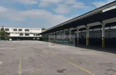 Galpão, 3500 m² - venda por r$ 29.000.000,00 ou aluguel por r$ 122.764,48/mês - parque novo mundo - são paulo/sp