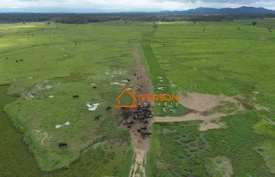 Fazenda à venda na Avenida Castelo Branco, 1, Centro, Registro