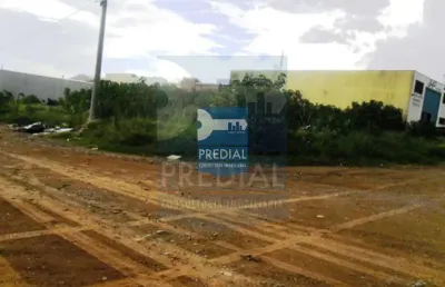 Terreno residencial 0 quarto para venda jardim são paulo, são carlos
