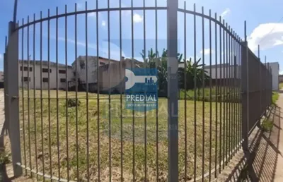 Terreno residencial 0 quarto para locação jardim são carlos, são carlos