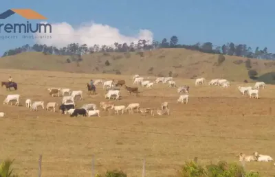 Fazenda à venda, 968000 m² por r$ 15.000.000,00 - anhumas - vargem/sp