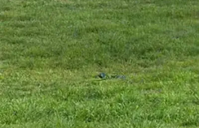 Terreno em condomínio fechado à venda na Avenida Comend. Gumercindo Barranqueiros, 1215, Jardim Santa Teresa, Jundiaí