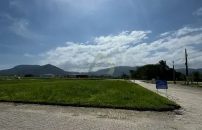 Apartamento à venda na rua aliatar silva, santa luzia, porto belo por r$ 2.500.000