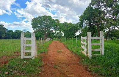 Chácara / sítio com 2 quartos à venda na Avenida Manoel de Oliveira, Zona Rural, Bela Vista de Goiás