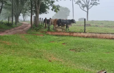 Belíssima chacara com 5 suites toda em laje, juntamente aos 72,600m