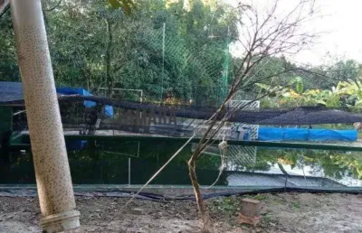 Chácara / sítio com 2 quartos à venda na casa verde, monte mor  por r$ 550.000