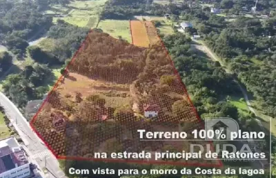 Chácara / sítio com 14 quartos à venda na Rua João Januário da Silva, Ratones, Florianópolis