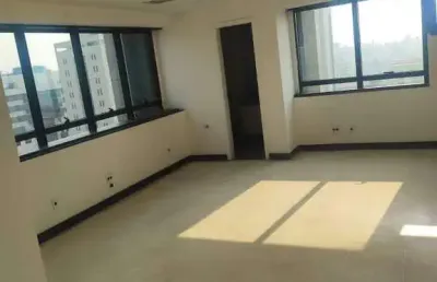 Apartamento à venda, 2 quartos, 2 suítes, 2 vagas, lourdes - belo horizonte/mg