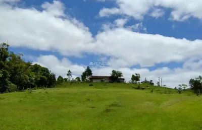 Chácara / sítio com 6 quartos à venda na br116, km 25, centro, campina grande do sul, 208036 m2 por r$ 1.200.000