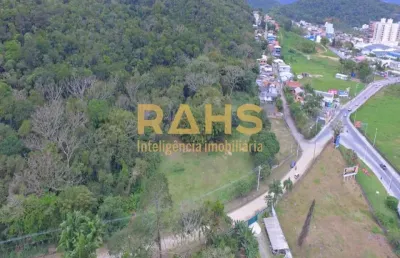Terreno de 31.000 m² na divisa de camboriú e balneário camboriú