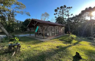 Chácara com 4.000m² de área total  à venda  no bairro roseira em colombo por r$ 385.000,00
