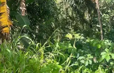 Terreno à venda na Rua Zulmira Ferreira, 35, Saboeiro, Salvador