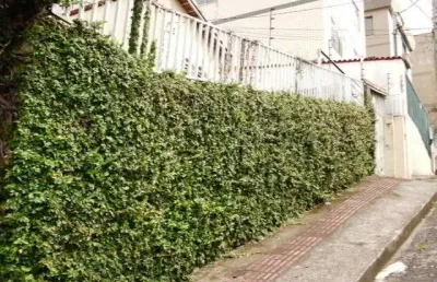 Terreno à venda na Rua Dom Lúcio Antunes, Coração Eucarístico, Belo Horizonte
