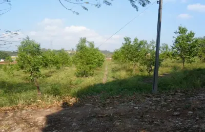 Sítio com 2 dormitórios à venda, 48000 m² por r$ 10.000.000,00 - mato dentro - indaiatuba/sp
