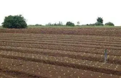 Área à venda, 60000 m² por r$ 13.800.000,00 - helvétia country - indaiatuba/sp