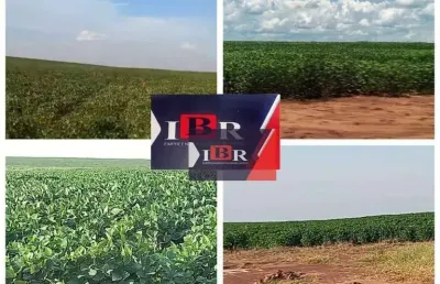 Fazenda à venda na Travessa Cristo Rei, Zona Rural, Campo Grande