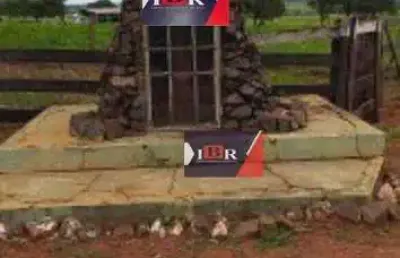 Fazenda à venda na Zona Rural, Naviraí 