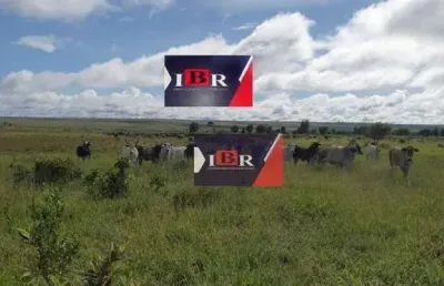 Fazenda à venda na Rua Carurú, Zona Rural, Campo Grande