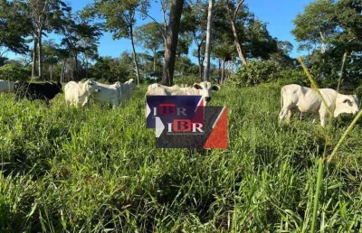 Fazenda à venda na Zona Rural, Alcinópolis 