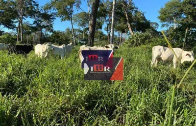 Fazenda à venda na Zona Rural, Alcinópolis 