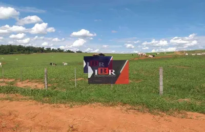 Fazenda à venda na Rua Amazonas, Área Rural de Penápolis, Penápolis