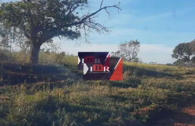Fazenda à venda no Centro, Terenos 
