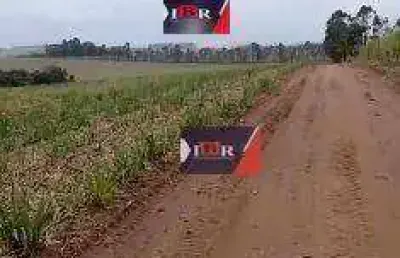 Chácara / sítio à venda na Rua Rafael Rogati, Vila São Pedro, Pirassununga
