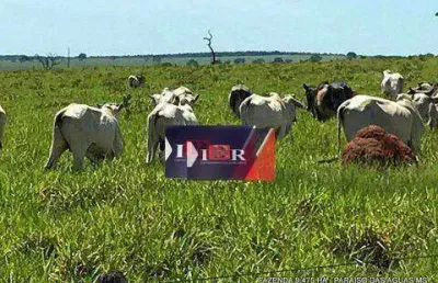 Fazenda à venda na Zona Rural, Água Clara 