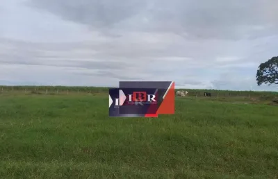 Fazenda à venda na Avenida Quarta, Área Rural de Mineiros, Mineiros