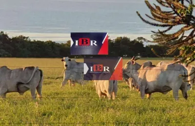 Fazenda à venda na Área Rural, Área Rural de Presidente Prudente, Presidente Prudente