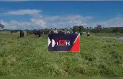 Fazenda à venda na Zona Rural, Alcinópolis 