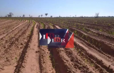 Fazenda à venda, 6582400 m² por r$ 38.000.000,00 - bela vista i - panorama/sp