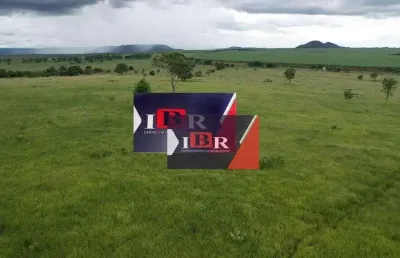 Fazenda à venda no Centro, Costa Rica 