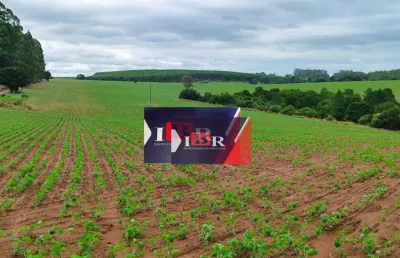 Fazenda à venda na Rua Rubens Custódio, Área Rural de Itapetininga, Itapetininga